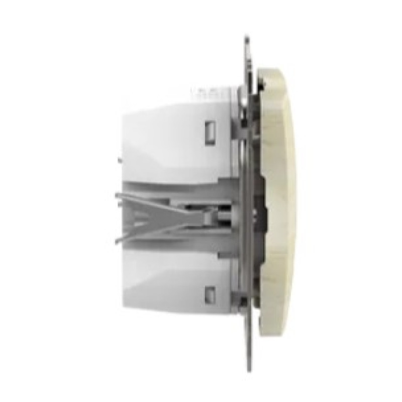 Розетка USB Schneider Electric Sedna Design & Elements A+C 3A 45Вт береза SDD180404