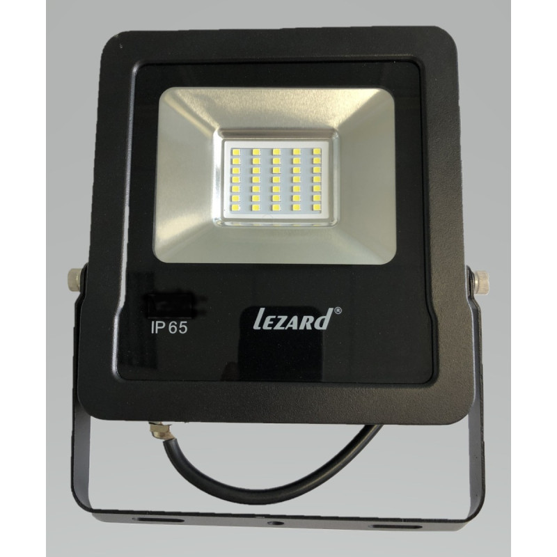 Прожектор Lezard 100Вт 6500К IP65