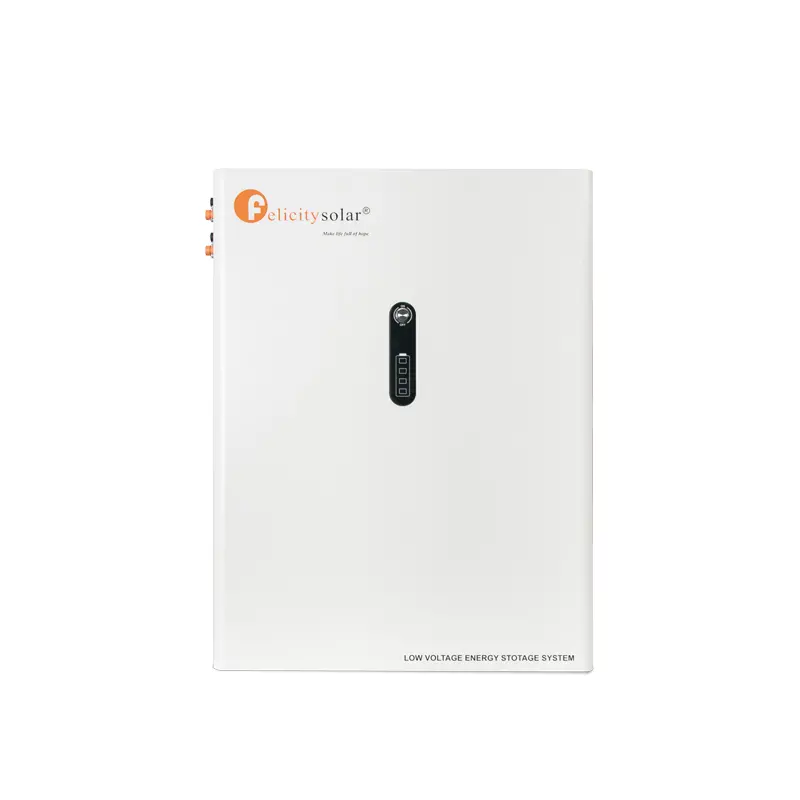 LPBA48170 Felicity (LiFePO4 51,2V 170Ah 8,67kWh)