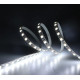 LED стрічка RISHANG 120-2835-24V-IP20 8W 700Lm 3000K 5м (RL05C0TC-L-S-WW)