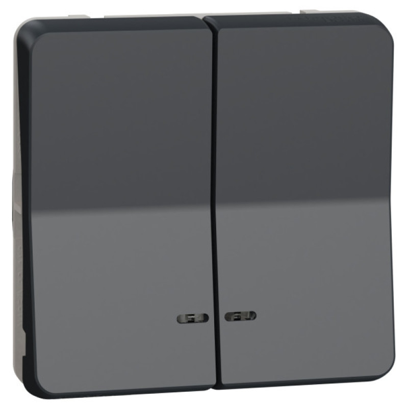 Двоклавішний кнопковий вимикач Schneider Electric MUR35228 з підсвічуванням IP55 (чорний)