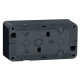 Накладна 2-місна розетка Schneider Electric MUR36029 із з/к та шторками IP55 (чорний)