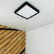 Светильник LED MILLENNIUM 20W 5000K квадрат черный Violux ( 352220 )