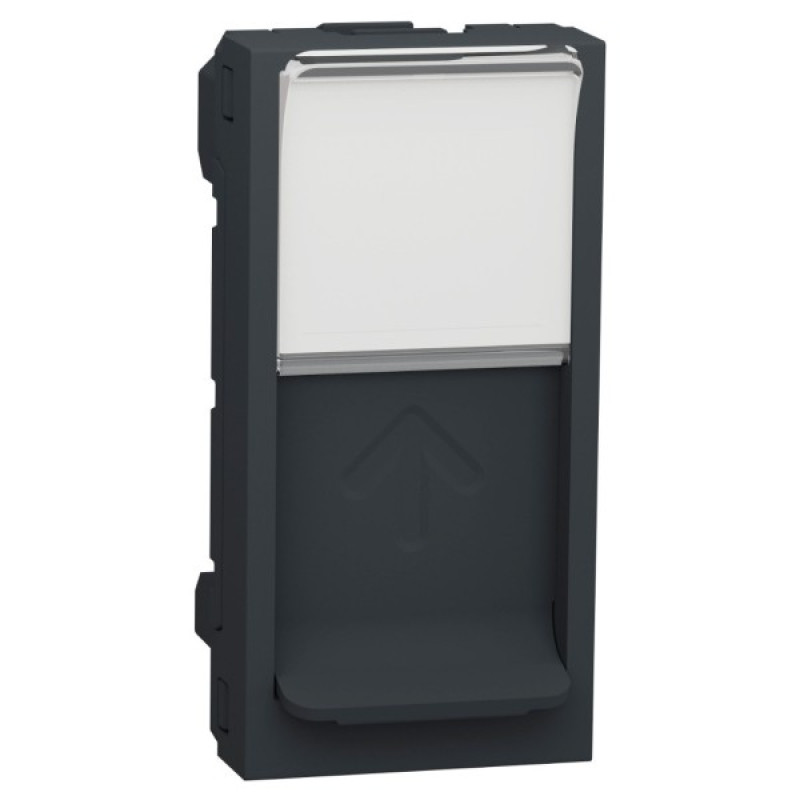 Накладка для RJ45 розетки Schneider Electric NU941054 с полем для надписи 1М (антрацит)