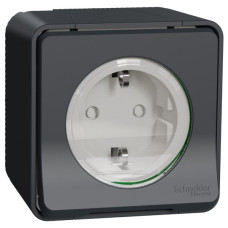 Накладная розетка Schneider Electric MUR36034 с з/к и шторками IP55 (черный)