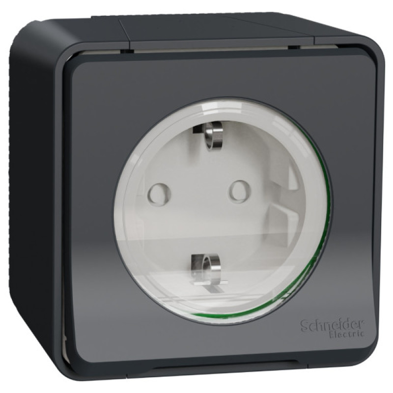 Накладна розетка Schneider Electric MUR36034 із з/к та шторками IP55 (чорний)