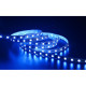 LED лента COLORS 60-5050-24V-IP33 16.8W RGB+3000K 5м (D560RGBWW-24V-12mm)