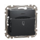 Картковий вимикач Schneider Electric Sedna Design & Elements чорний SDD114121