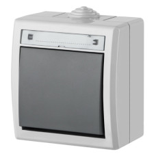 Одноклавишный выключатель Elektro-Plast Aquant 1201-10 (серый)