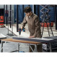 Шуруповерт-дриль Bosch Professional GSR 18V-50 (06019H5000)