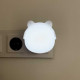 Нічник LED SONIC 0,6W із сутінковим сенсором білий Violux ( 310301 )