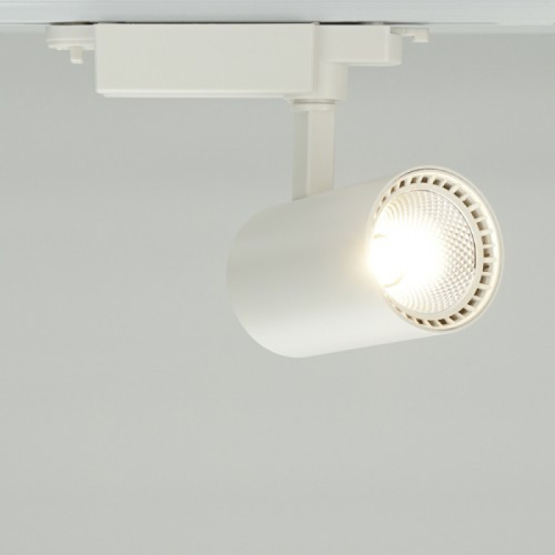 Шинний світильник Feron AL102 12Вт 2700К COB (білий)