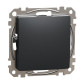 Заглушка Schneider Electric Sedna Design & Elements черная SDD114904