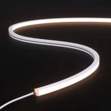 Гибкий неон COLORS 24V-IP65 8,8W 550Lm 2700K 5м (NJT1010-SW)