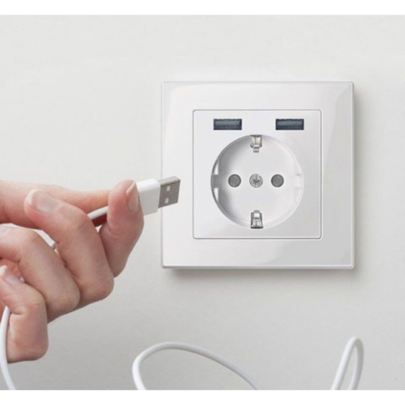 USB розетка Schuko Schneider Electric Merten System M MTN2366-0319 2 USB (полярно белый)