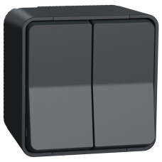 Накладной проходной 2-клавишный переключатель Schneider Electric MUR35022 (сх.6+6) IP55 (черный)