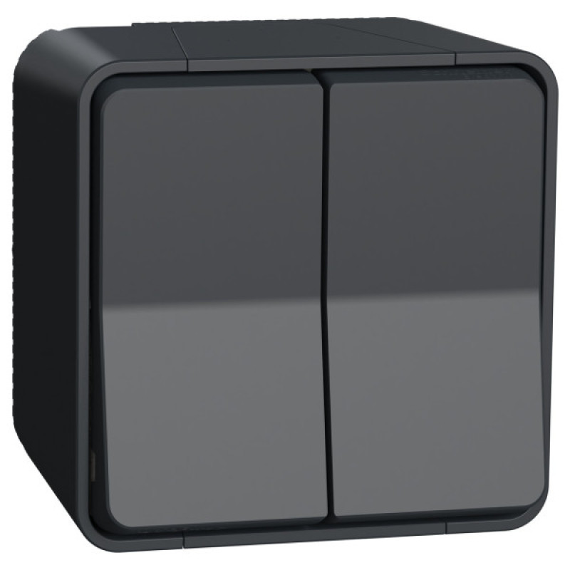 Накладний прохідний 2-клавішний перемикач Schneider Electric MUR35022 (сх.6+6) IP55 (чорний)