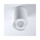 Точечный светильник Goldlux 313096 Hadar r1 GU10 1x10W IP20 WH
