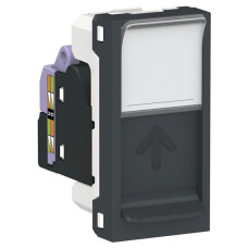Одинарная компьютерная розетка Schneider Electric NU341654 RJ45 cat.6 STP с полем для надписи 1М (антрацит)