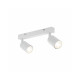 Светильник поворотный, спот TK Lighting 6198 Top GU10 2x10W IP20 Белый