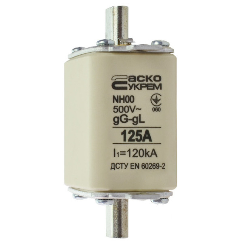 Запобіжник Аско-Укрем NH00 125A gG (A0050010016)