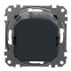 Поворотний світлорегулятор Schneider Electric Sedna Design & Elements RC 3-370 Вт алюміній SDD113501