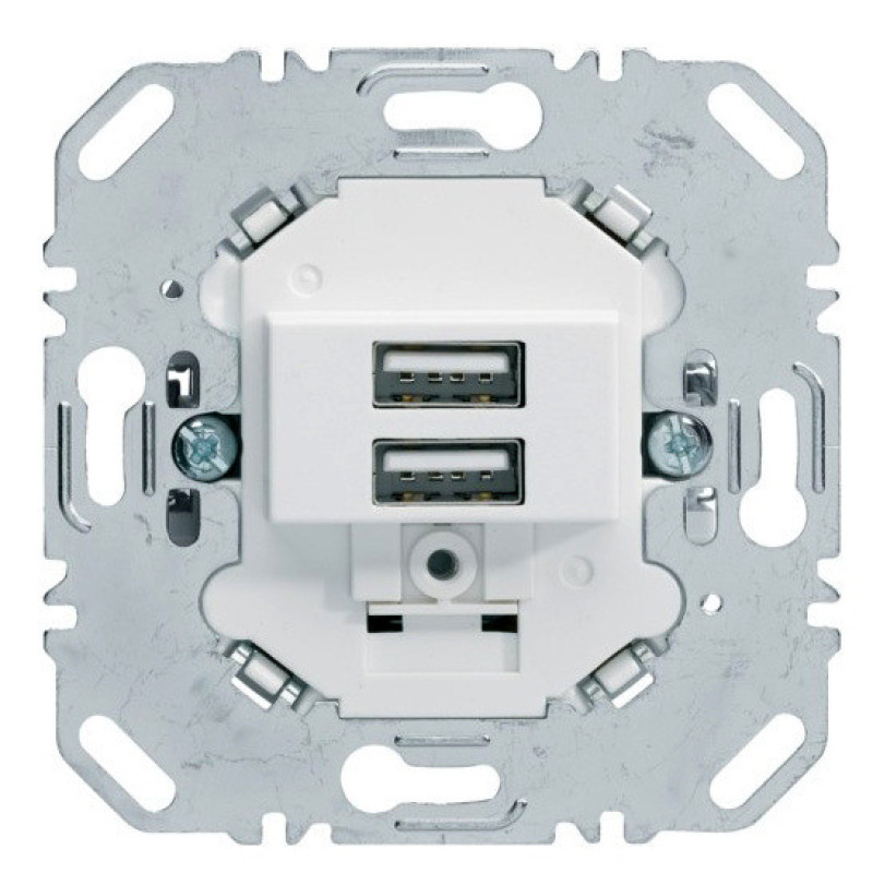 Двойная USB розетка Berker 260209