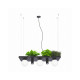 Люстра Zuma Line 5555 Shelf E14+GU10 5x10W IP20 Черная