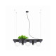 Люстра Zuma Line 5555 Shelf E14+GU10 5x10W IP20 Черная