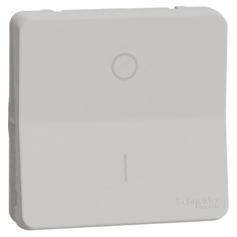 Двополюсний вимикач Schneider Electric MUR39033 IP55 (білий)