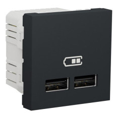 Двойная USB розетка Schneider Electric NU341854 2.1А 2М (антрацит)