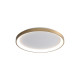 Потолочный светильник Italux CLN-3151-M-GD Raden LED 3000K-6000K 2900Lm IP20 золотой