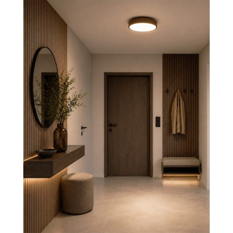 Потолочный светильник TK Lighting 18281 Velis LED 1x24W 3000K/4000K/5500K 1000Lm IP54 коричневый