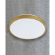 Светильник потолочный Goldlux 3318008 Kern LED 1x24W 4000K 2500Lm IP20 золотой
