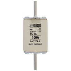 Запобіжник Аско-Укрем NH1 100A gG (A0050010028)