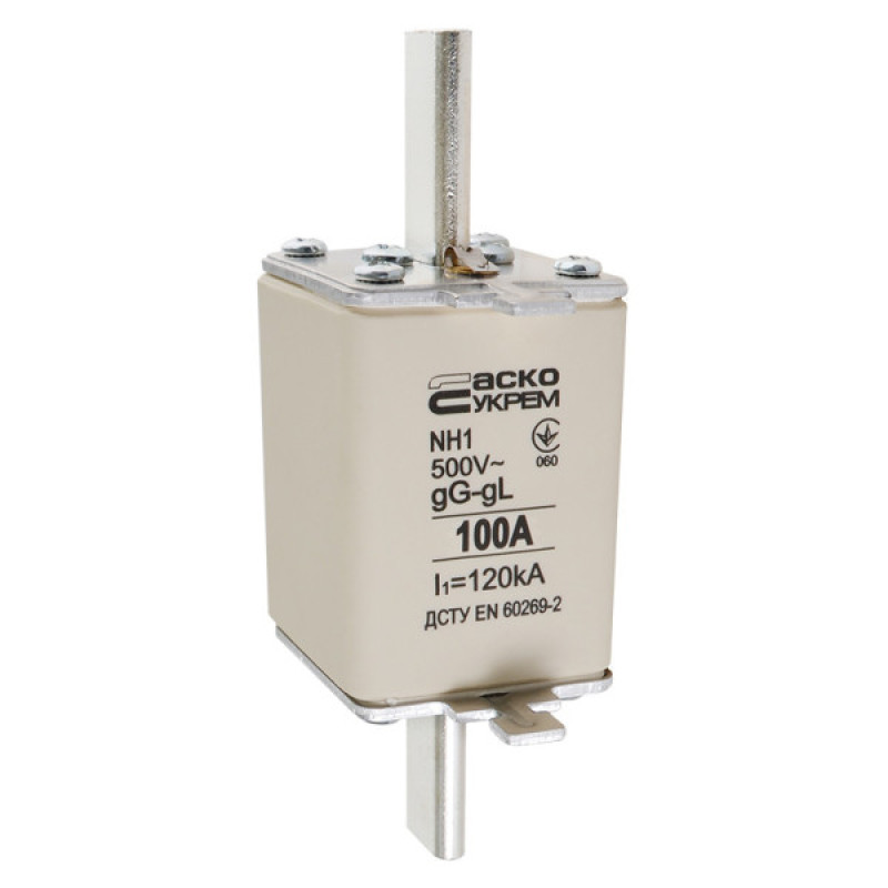 Запобіжник Аско-Укрем NH1 100A gG (A0050010028)