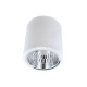 Точковий світильник Goldlux 307187 Jupiter E27 1x20W IP20 WH