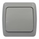Выключатель EVA серый 1кл IP54 ( 554-011500-200 )