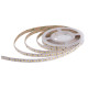 LED стрічка RISHANG 128-2835-24V-IP20 12W 1578Lm 4000K 5м (RD00C8TC-A-NW)