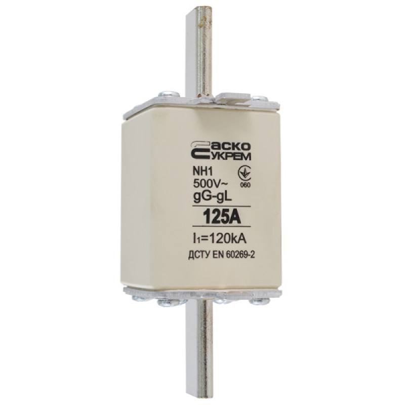Запобіжник Аско-Укрем NH1 125A gG (A0050010029)