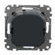 Поворотний світлорегулятор Schneider Electric Sedna Design & Elements RC 3-370 Вт чорний SDD114501
