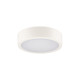 Потолочный светильник Kanlux 39020 Daber LED 1x8W/13W 3000K/3500K/4000K 1510Lm IP66 белый