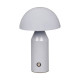 Настольная лампа Italux TB-83647-GR Dorbia LED 1x2W 3000K-6500K 45Lm IP20 серая