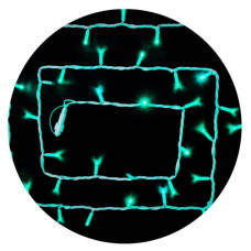 Белая уличная светодиодная гирлянда Delux EN STRING 100LED (90016598) 10м (2х5м) IP44 (зеленый свет)