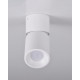 Светильник поворотный, спот Goldlux 314062 Astra GU10 1x10W IP20 белый