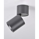 Светильник поворотный, спот Goldlux 314079 Astra GU10 1x10W IP20 черный
