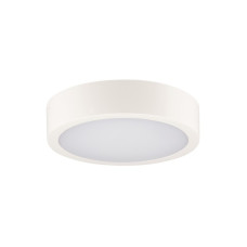 Потолочный светильник Kanlux 39024 Daber LED 1x12W/20W 3000K/3500K/4000K 2630Lm IP66 белый