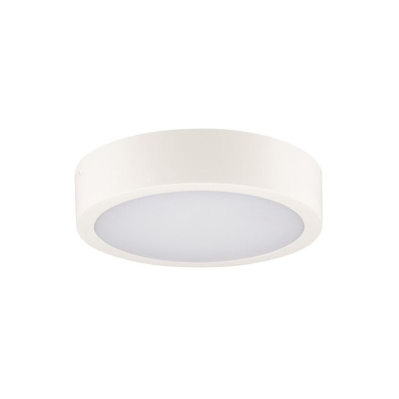 Потолочный светильник Kanlux 39024 Daber LED 1x12W/20W 3000K/3500K/4000K 2630Lm IP66 белый