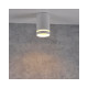 Точечный светильник Goldlux 319883 Fabri GU10 1x10W IP20 WH
