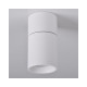 Точковий світильник Goldlux 314239 Nixa GU10 1x10W IP20 WH